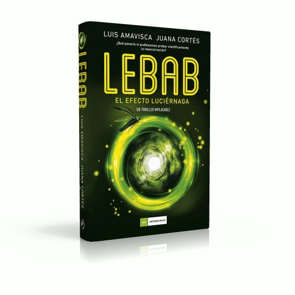 Lebab + chapa - Imagen 4